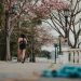 A woman jogs through a picturesque park lined with blooming spring trees and vintage lamps.